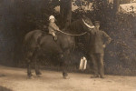 Menko Fokko Dijksterhuis op het paard